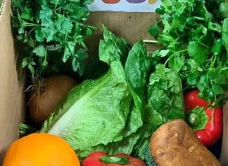 Join +BOX in the Fight Against Hunger in Vista