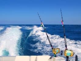California Air Resources Board Hears Testimony on Proposed Boat Engine Regulations