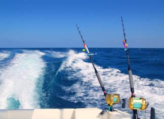 California Air Resources Board Hears Testimony on Proposed Boat Engine Regulations