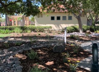 Escondido HOA Saves Water, Costs with WaterSmart Landscape Upgrades