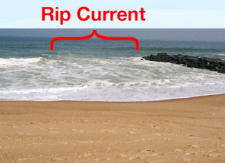 Do Groins Cause Rip Currents?