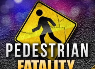 Vista Fatal Vehicle Verses Pedestrian