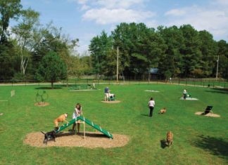 Construction Under Way at Carlsbad’s New Dog Park
