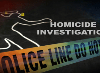Update: Homicide – Vista Deceased Subject Identified
