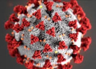 First Omicron Variant Case Identified in San Diego County