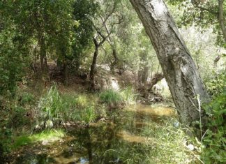 South Vista Trail Improvements