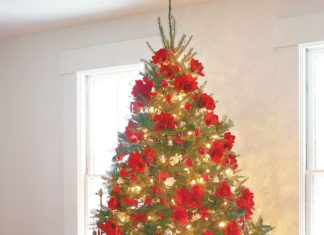 Be Fire Smart with these Christmas Tree Tips