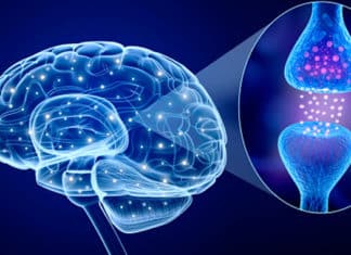 Parkinson’s Association Empowerment Day Provides Education and Hope – Part 2