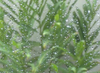 Make the Most of Rainfall