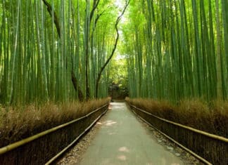 New Sustainability Initiatives Coming to Carlsbad