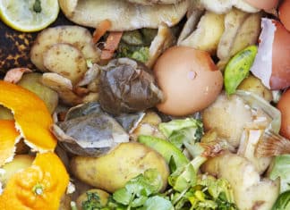 Recycling of Food Scraps, other Organic Waste Coming