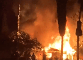 Help Shape Escondido’s Wildfire Preparedness