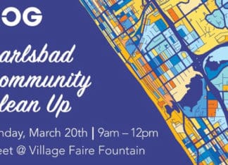 Colossal Community Cleanup March 20th