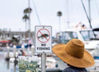 From a “Cultural Desert” To A Thriving Arts Community