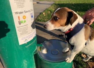 San Marcos and Vallecitos Water District Partner on Hydration Stations and Reducing Single-use Plastics