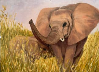 Safari by Paintbrush