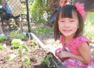 Kids in the Garden -January 10 Animal Homes and Garden Habitats