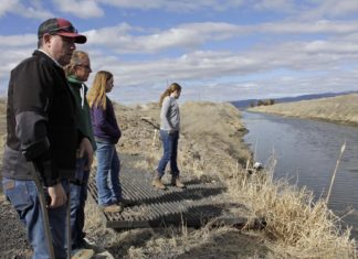 Farms, Fish on Dry California-Oregon Border See Scant Water