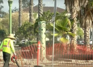 A Revitalization of Escondido’s Historic Downtown is Underway