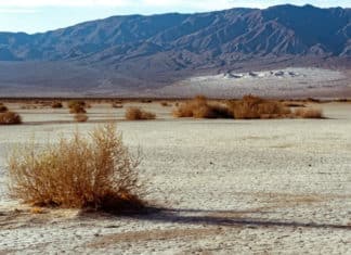 Mini Desalination Plants could Refresh the Parched West