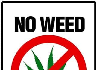 Parents Must Break Through the Haze on Weed