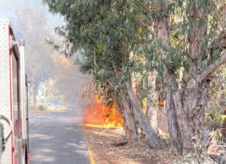Suspicious Fires – North County