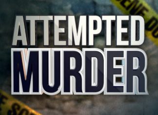 Police Seek Witnesses of Attempted Murder and Assault with a Vehicle at Local Shopping Center