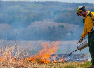 Oceanside Fire Department to Conduct Wildland Training Burns Starting May 10th