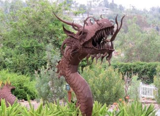 Alta Vista Botanical Gardens a True Hidden Gem in Vista