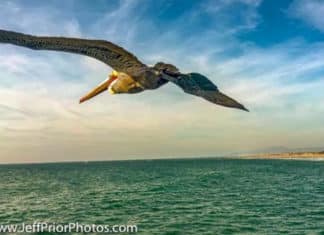 First Friday Art Walk May 6, Artist Alley