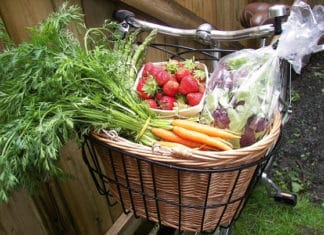 Bike To The Farmers’ Market and Save