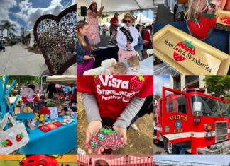 Vista Chamber of Commerce June Newsletter