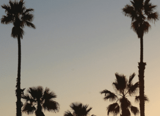 Community Forum on Farmland Conservation Strategies July 13