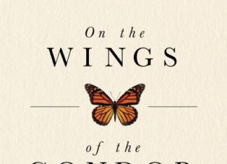 On the WINGS of the CONDOR by Bill Toone