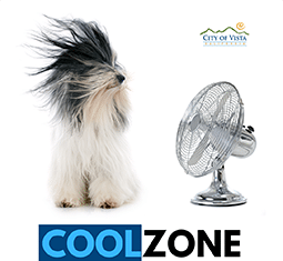 Cool Zone Information for Vista