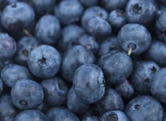 Blueberries, Blueberries, Blueberries