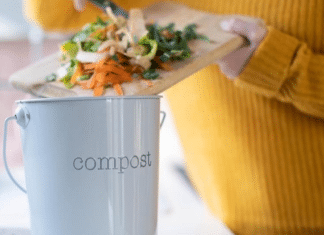 Republic Services Has Composting Info