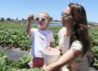 Oceanside to Host Agritourism Workshop August 9