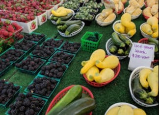 Vista Farmers Market Since 1981
