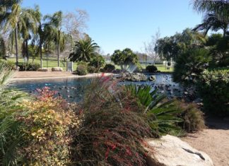 Woodland Park Pond Cleaning to Begin July 11 till Mid-August.