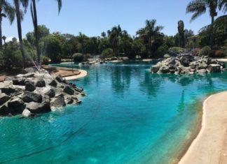 Woodland Park Pond is Now Open