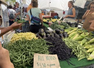 Best Morning Market in North County ‘Oceanside Morning Farmers Market’
