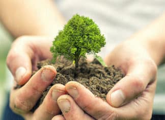 Urban Corps of San Diego County Joins City of Vista for Tree Planting Event