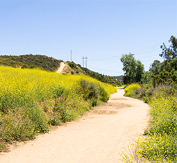 Take a Hike in Your Own Backyard This Summer
