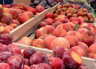 Summer Is Always Fresh At The State Street Farmers’ Market