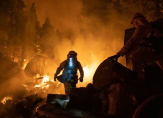 Oceanside Working Together to Reduce Wildfire Risks