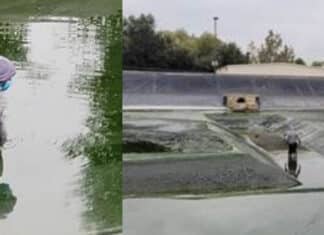 Escondido Police Department Updates