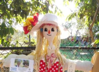 Fall Fun Festival 2022 at Alta Vista Botanical Gardens this Saturday