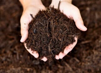 City of Oceanside Free Compost & Mulch for Residents