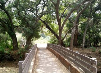 South Buena Vista Park Closed Thursday, September 8